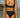 Noserider Surf Bikini Bottom in Black